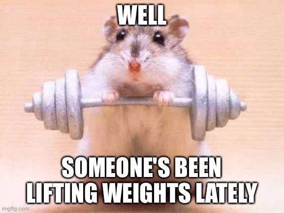 Hamster Weightlifting | WELL SOMEONE'S BEEN LIFTING WEIGHTS LATELY | image tagged in hamster weightlifting | made w/ Imgflip meme maker