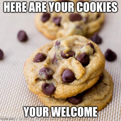 Punny Cookies | HERE ARE YOUR COOKIES; YOUR WELCOME | image tagged in punny cookies | made w/ Imgflip meme maker