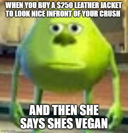 Sully Wazowski | WHEN YOU BUY A $250 LEATHER JACKET TO LOOK NICE INFRONT OF YOUR CRUSH; AND THEN SHE SAYS SHES VEGAN | image tagged in sully wazowski | made w/ Imgflip meme maker