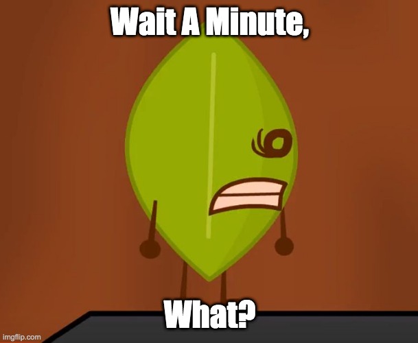 BFDI "Wat" Face | Wait A Minute, What? | image tagged in bfdi wat face | made w/ Imgflip meme maker