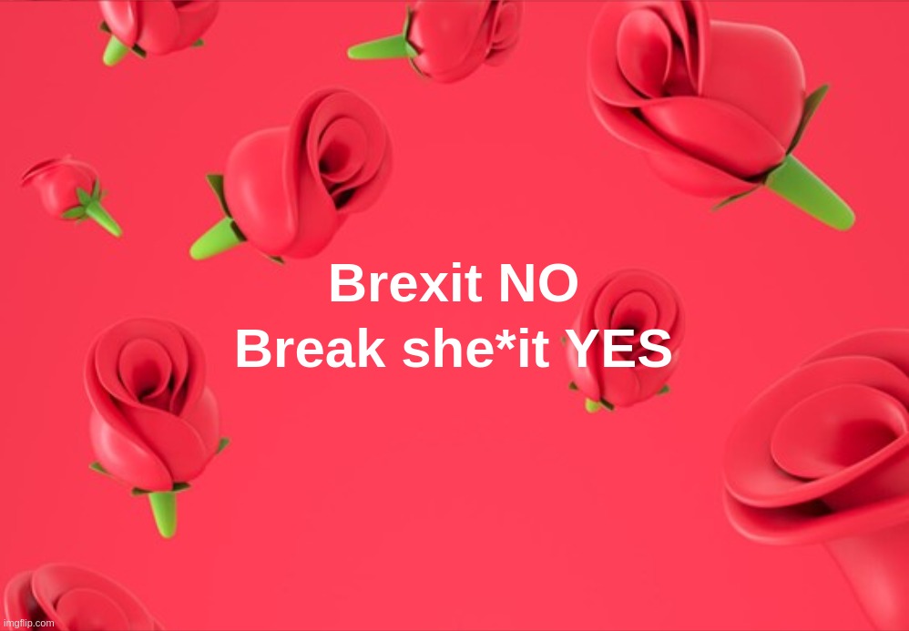 Brexit NO Break she-it YES | image tagged in brexit,no,break,yes | made w/ Imgflip meme maker