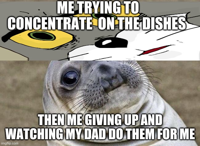 Dingus | ME TRYING TO CONCENTRATE  ON THE DISHES; THEN ME GIVING UP AND WATCHING MY DAD DO THEM FOR ME | image tagged in dingus | made w/ Imgflip meme maker