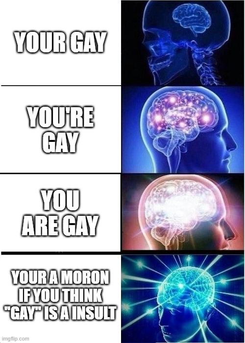 Expanding Brain | YOUR GAY; YOU'RE GAY; YOU ARE GAY; YOUR A MORON IF YOU THINK ''GAY'' IS A INSULT | image tagged in memes,expanding brain | made w/ Imgflip meme maker