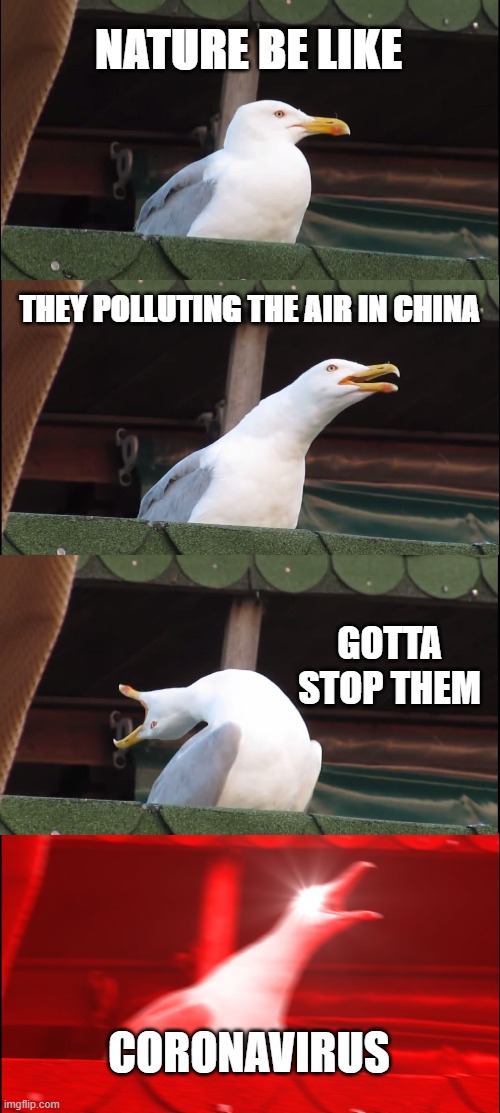 Inhaling Seagull Meme | NATURE BE LIKE; THEY POLLUTING THE AIR IN CHINA; GOTTA STOP THEM; CORONAVIRUS | image tagged in memes,inhaling seagull | made w/ Imgflip meme maker