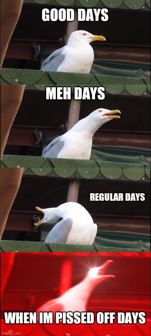 Inhaling Seagull Meme | GOOD DAYS; MEH DAYS; REGULAR DAYS; WHEN IM PISSED OFF DAYS | image tagged in memes,inhaling seagull | made w/ Imgflip meme maker