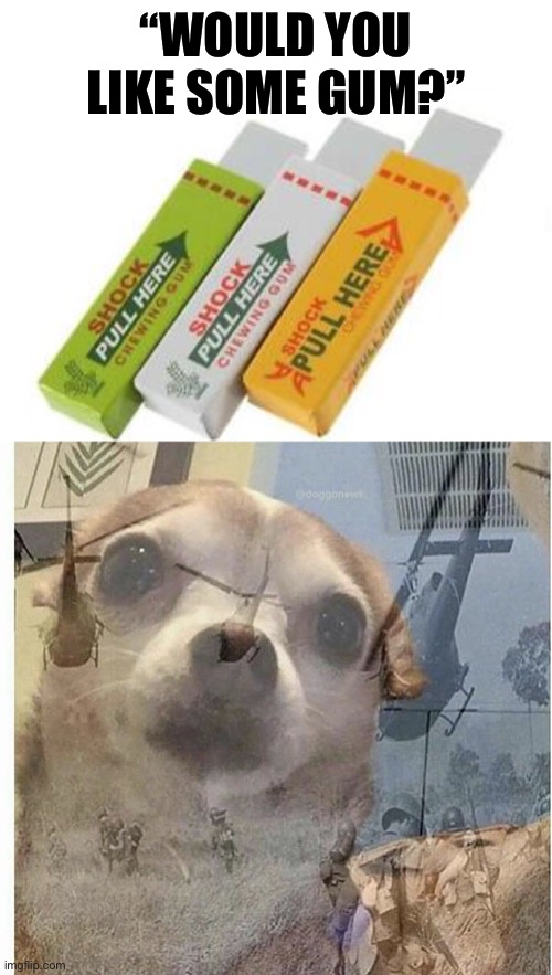This is where my trust issues started. | “WOULD YOU LIKE SOME GUM?” | image tagged in flashback doggy | made w/ Imgflip meme maker
