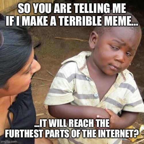 Third World Skeptical Kid | SO YOU ARE TELLING ME IF I MAKE A TERRIBLE MEME... ...IT WILL REACH THE FURTHEST PARTS OF THE INTERNET? | image tagged in memes,third world skeptical kid | made w/ Imgflip meme maker