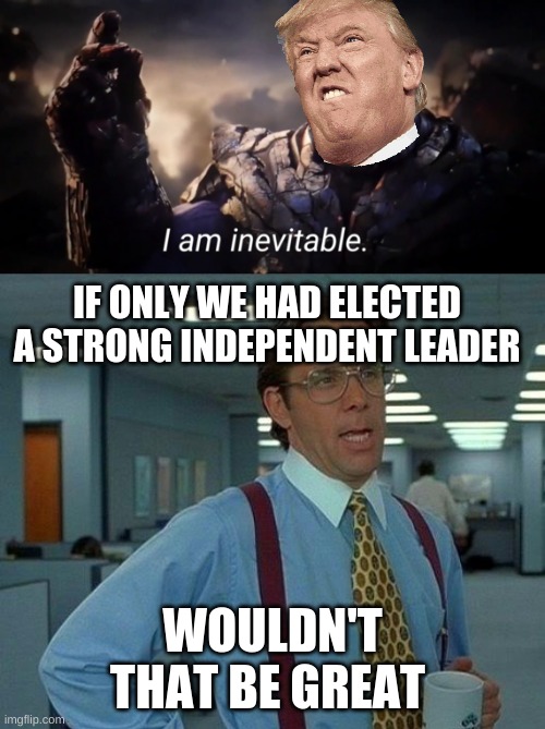 IF ONLY WE HAD ELECTED A STRONG INDEPENDENT LEADER; WOULDN'T THAT BE GREAT | image tagged in memes,that would be great,i am inevitable | made w/ Imgflip meme maker