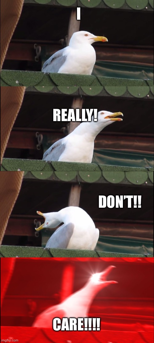 Inhaling Seagull | I; REALLY! DON’T!! CARE!!!! | image tagged in memes,inhaling seagull | made w/ Imgflip meme maker