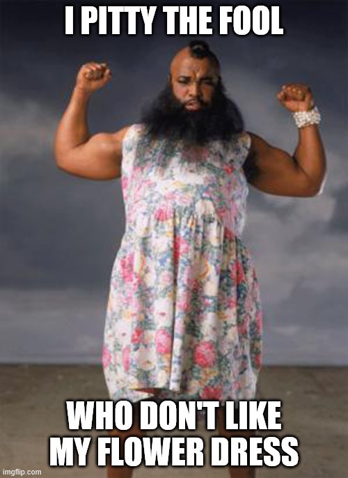 Cross dresser | I PITTY THE FOOL; WHO DON'T LIKE MY FLOWER DRESS | image tagged in cross dresser | made w/ Imgflip meme maker