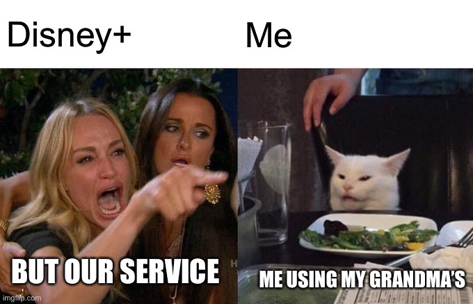 Woman Yelling At Cat | Disney+; Me; BUT OUR SERVICE; ME USING MY GRANDMA’S | image tagged in memes,woman yelling at cat | made w/ Imgflip meme maker