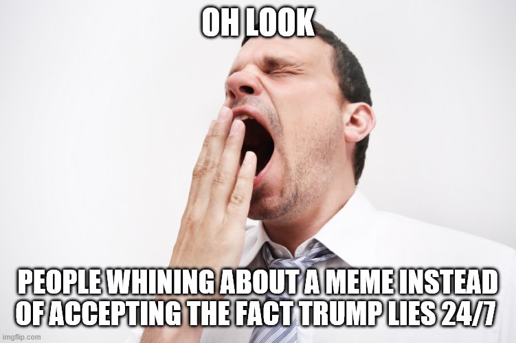 yawn | OH LOOK PEOPLE WHINING ABOUT A MEME INSTEAD OF ACCEPTING THE FACT TRUMP LIES 24/7 | image tagged in yawn | made w/ Imgflip meme maker