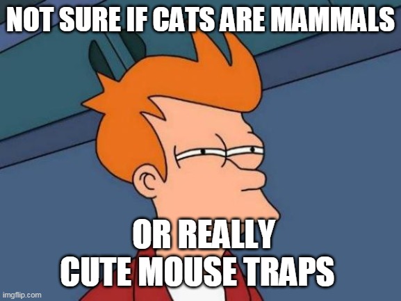 Futurama Fry Meme | NOT SURE IF CATS ARE MAMMALS; OR REALLY CUTE MOUSE TRAPS | image tagged in memes,futurama fry | made w/ Imgflip meme maker