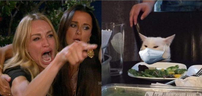 Woman Yelling at Cat with Medical Mask Blank Meme Template