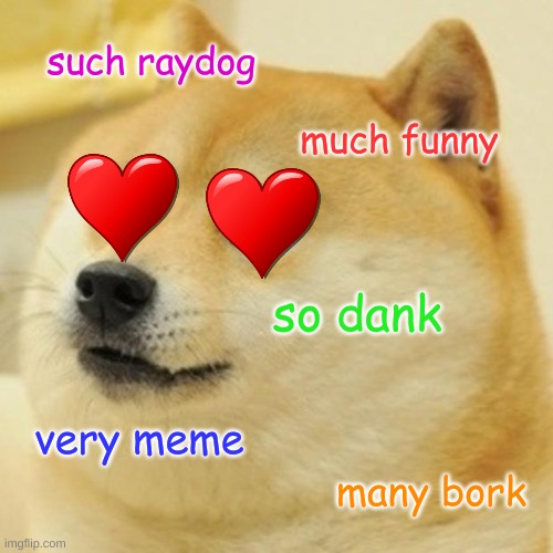 Doge Meme | such raydog; much funny; so dank; very meme; many bork | image tagged in memes,doge | made w/ Imgflip meme maker