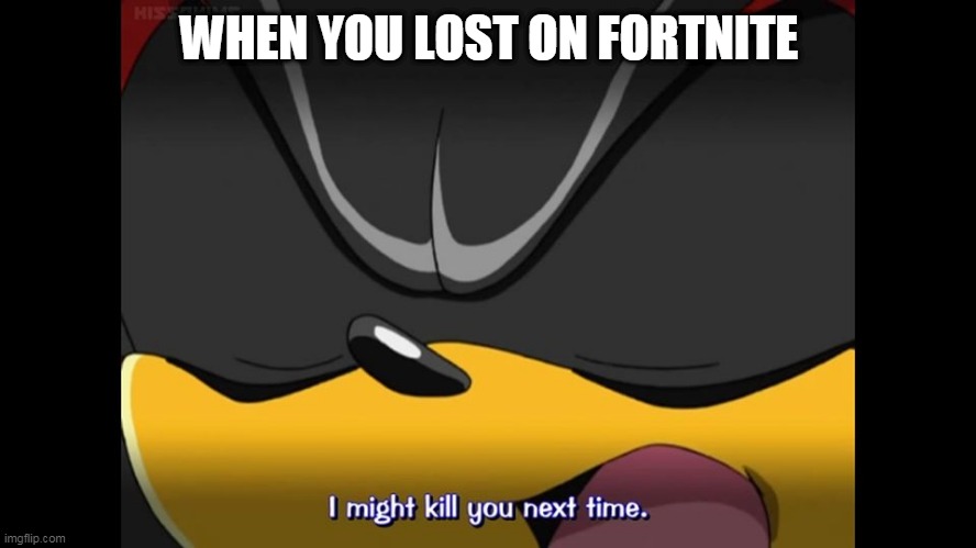Shadow the hedgehog might kill you next time | WHEN YOU LOST ON FORTNITE | image tagged in shadow the hedgehog might kill you next time | made w/ Imgflip meme maker