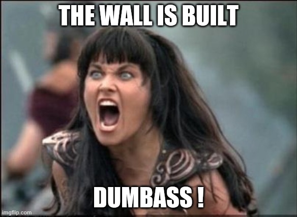 Angry Xena | THE WALL IS BUILT DUMBASS ! | image tagged in angry xena | made w/ Imgflip meme maker