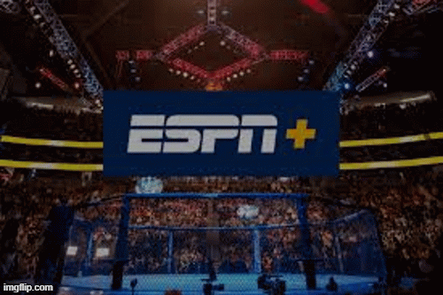 Real Combat Media Fight Store | image tagged in gifs,dazn,espn plus,boxing,mma,onnit | made w/ Imgflip images-to-gif maker