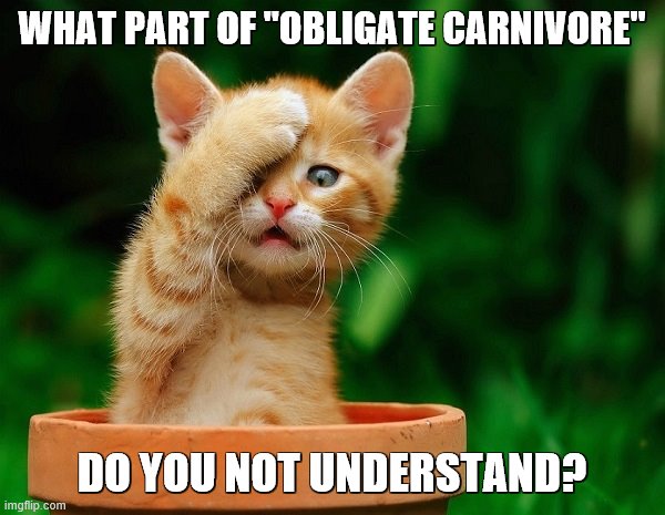 WHAT PART OF "OBLIGATE CARNIVORE" DO YOU NOT UNDERSTAND? | made w/ Imgflip meme maker