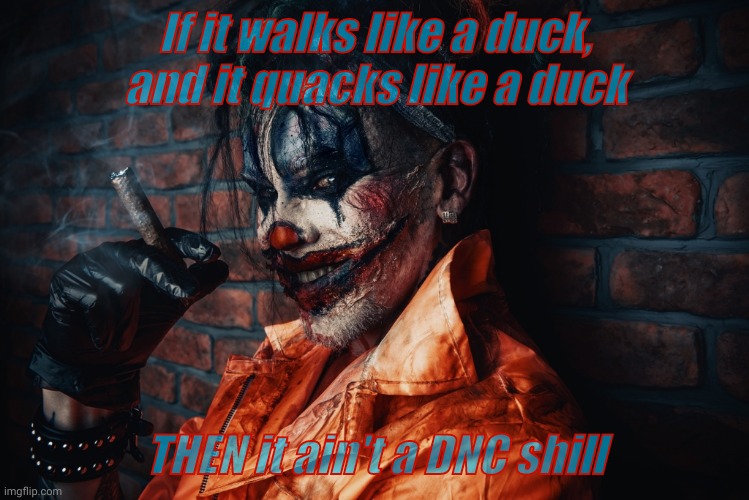 w | If it walks like a duck, and it quacks like a duck THEN it ain't a DNC shill | image tagged in evil bloodstained clown | made w/ Imgflip meme maker