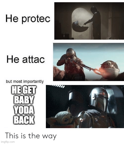 A Mandolorian meme but I copied it from the web and reposted it | image tagged in the mandalorian,he protec he attac but most importantly,baby yoda,this is the way | made w/ Imgflip meme maker