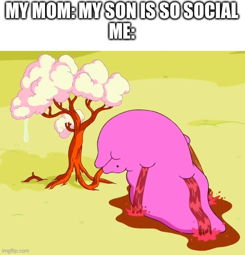 Neddy | MY MOM: MY SON IS SO SOCIAL
ME: | image tagged in adventure time,introvert,mom,me,memes,oh wow are you actually reading these tags | made w/ Imgflip meme maker