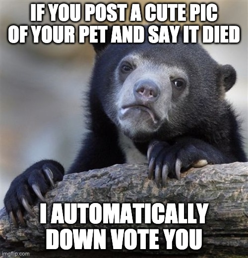 Confession Bear | IF YOU POST A CUTE PIC OF YOUR PET AND SAY IT DIED; I AUTOMATICALLY DOWN VOTE YOU | image tagged in memes,confession bear,AdviceAnimals | made w/ Imgflip meme maker