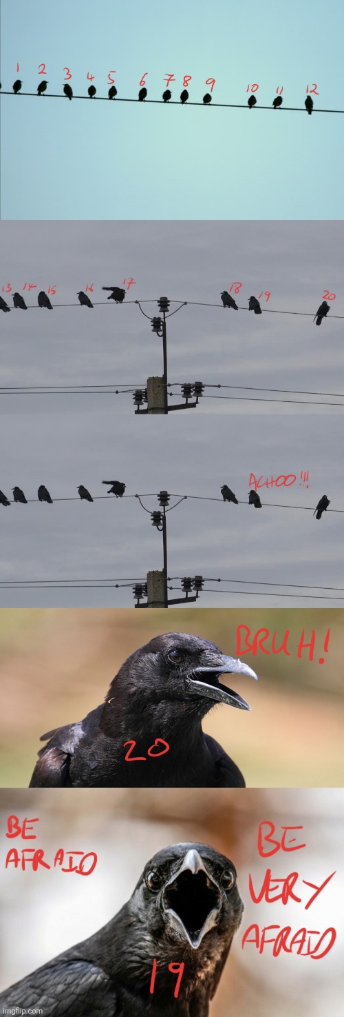 Counting Crows (Corvid 19) | image tagged in memes,funny,covid-19,crows | made w/ Imgflip meme maker