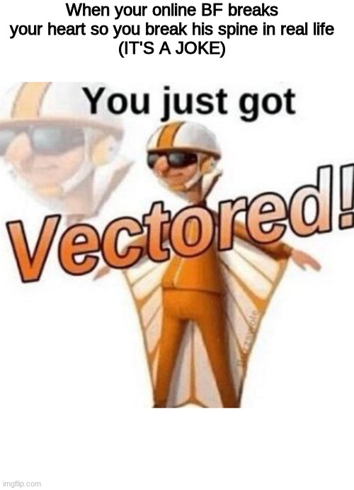 You just got vectored | When your online BF breaks your heart so you break his spine in real life
(IT'S A JOKE) | image tagged in you just got vectored | made w/ Imgflip meme maker