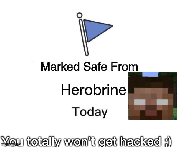 Marked Safe From | Herobrine; You totally won't get hacked ;) | image tagged in memes,marked safe from | made w/ Imgflip meme maker