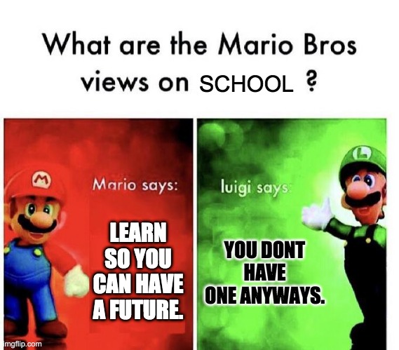 Mario Bros Views | SCHOOL; LEARN SO YOU CAN HAVE A FUTURE. YOU DONT HAVE ONE ANYWAYS. | image tagged in mario bros views | made w/ Imgflip meme maker