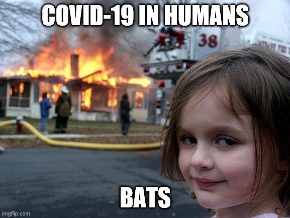 Disaster Girl | COVID-19 IN HUMANS; BATS | image tagged in memes,disaster girl | made w/ Imgflip meme maker