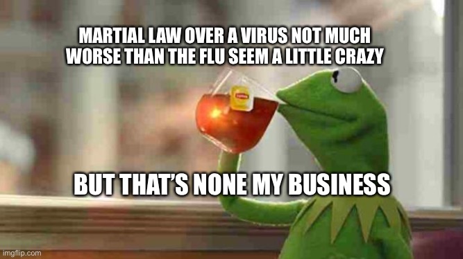 Kermit sipping tea | MARTIAL LAW OVER A VIRUS NOT MUCH WORSE THAN THE FLU SEEM A LITTLE CRAZY; BUT THAT’S NONE MY BUSINESS | image tagged in kermit sipping tea | made w/ Imgflip meme maker