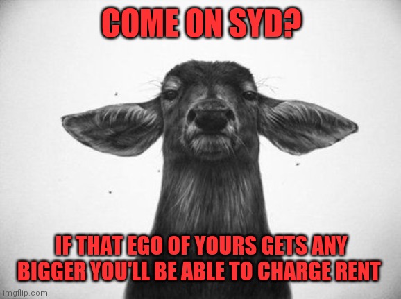 COME ON SYD? IF THAT EGO OF YOURS GETS ANY BIGGER YOU'LL BE ABLE TO CHARGE RENT | made w/ Imgflip meme maker