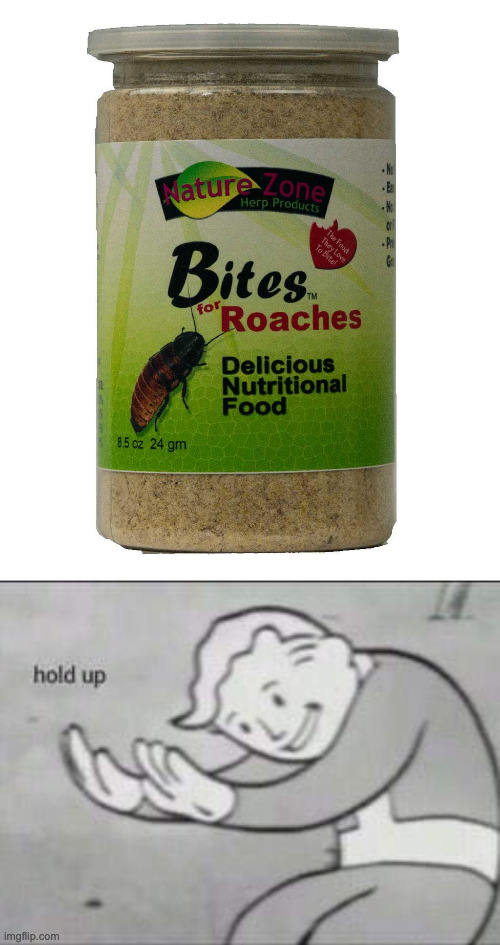 image tagged in fallout hold up | made w/ Imgflip meme maker