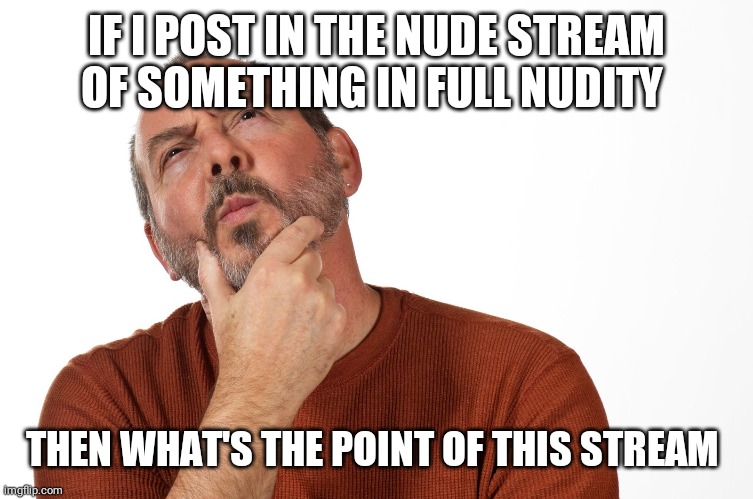 Thinking Puzzled Man | IF I POST IN THE NUDE STREAM OF SOMETHING IN FULL NUDITY; THEN WHAT'S THE POINT OF THIS STREAM | image tagged in thinking puzzled man | made w/ Imgflip meme maker