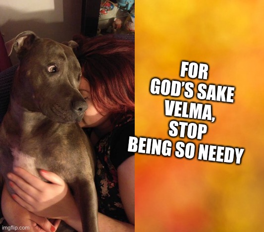 Velma stop being so needy | FOR GOD’S SAKE VELMA, STOP BEING SO NEEDY | image tagged in scooby doo,tv,tv show | made w/ Imgflip meme maker