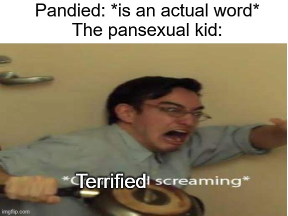 I dont have a problem with pansexual people | Pandied: *is an actual word*
The pansexual kid:; Terrified | image tagged in confused screaming,pansexual guy | made w/ Imgflip meme maker