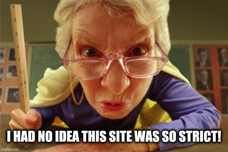 strict | I HAD NO IDEA THIS SITE WAS SO STRICT! | image tagged in strict | made w/ Imgflip meme maker