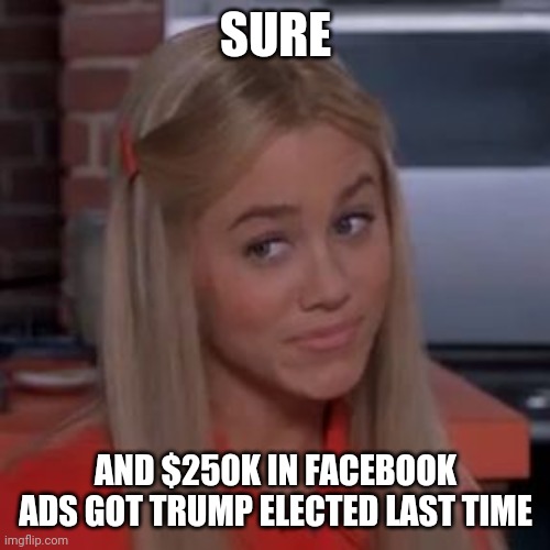 Sure Jan | SURE AND $250K IN FACEBOOK ADS GOT TRUMP ELECTED LAST TIME | image tagged in sure jan | made w/ Imgflip meme maker