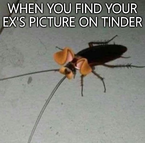 WHEN YOU FIND YOUR EX'S PICTURE ON TINDER | image tagged in ex | made w/ Imgflip meme maker