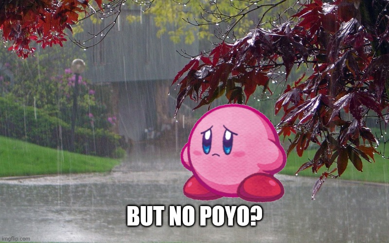 rainy day | BUT NO POYO? | image tagged in rainy day | made w/ Imgflip meme maker