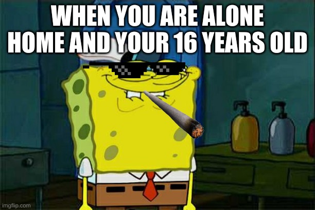 Don't You Squidward Meme | WHEN YOU ARE ALONE HOME AND YOUR 16 YEARS OLD | image tagged in memes,dont you squidward | made w/ Imgflip meme maker