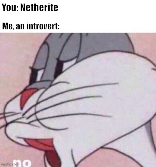 Bugs Bunny NO | You: Netherite; Me, an introvert: | image tagged in bugs bunny no | made w/ Imgflip meme maker