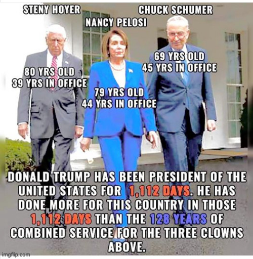 Nancy Pelosi | image tagged in nancy pelosi,democratic socialism,sad but true,democrats,chuck schumer | made w/ Imgflip meme maker