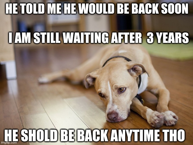 Sad doggo | HE TOLD ME HE WOULD BE BACK SOON; I AM STILL WAITING AFTER  3 YEARS; HE SHOLD BE BACK ANYTIME THO | image tagged in sad doggo,sad but true | made w/ Imgflip meme maker