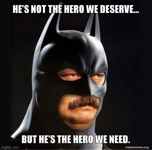 Hero we need | image tagged in hero we need | made w/ Imgflip meme maker