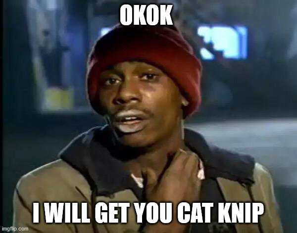 Y'all Got Any More Of That Meme | OKOK I WILL GET YOU CAT KNIP | image tagged in memes,y'all got any more of that | made w/ Imgflip meme maker