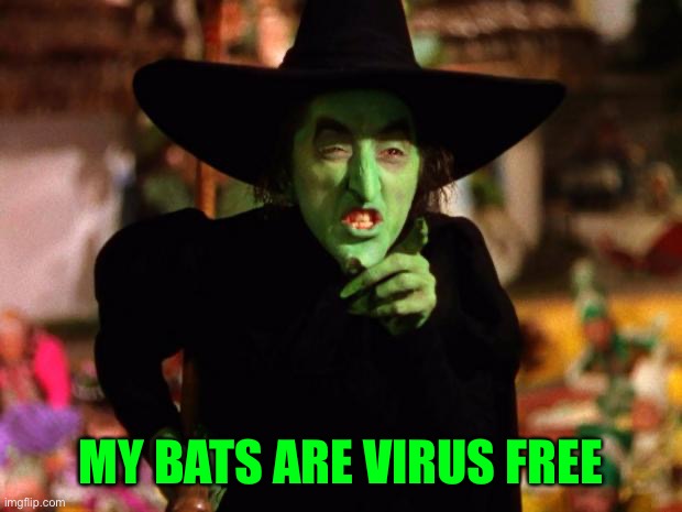 wicked witch  | MY BATS ARE VIRUS FREE | image tagged in wicked witch | made w/ Imgflip meme maker