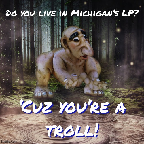 image tagged in troll,trolls,internet trolls,michigan,lower peninsula,mi | made w/ Imgflip meme maker